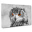 Orange Eyed Owl - Wrapped Canvas-56632469