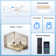 Ceiling Fans With Lights, Smart Ceiling Fan With App And Remote Control
