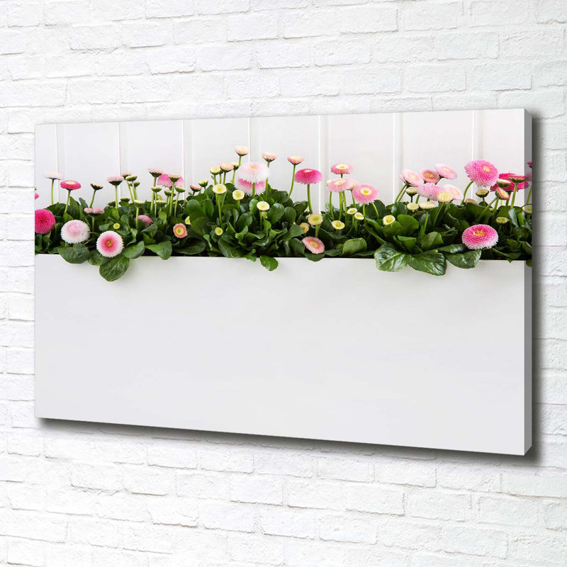 Pink Daisies - Wrapped Canvas Print