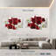 Amaryllis Harnek rouge et blanc