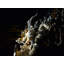 Great Dragon Sculpture-50342092