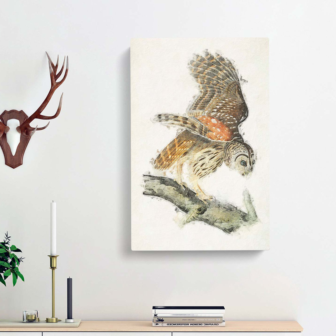 Barred Owl by John James Audubon - Wrapped Canvas