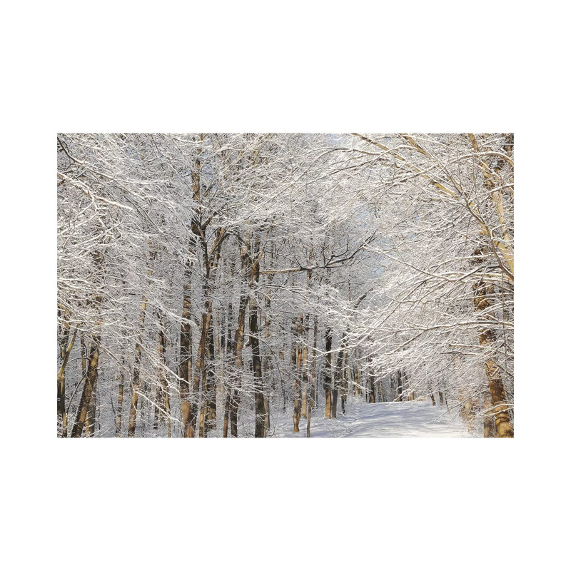 «Winter Trail» par Brian Wolf - photographie sur toile tendue, H 18 po x l 26 po x P 1,5 po