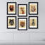 6 Piece Single Picture Frame Wall Art
