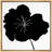 " Minimalist Black Daisy "-374808270