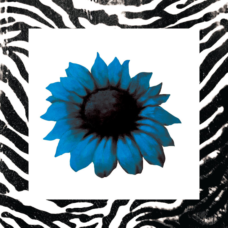 Blue Sunflower Zebra Border - Wrapped Canvas Painting, 30cm H x 30cm W x 3.8cm D