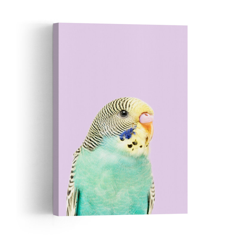 Untitled Contemporary Bird Animal Wall Art Print 1 Piece Wrapped Canvas Wall Art, 152.4cm H x 101.6cm W