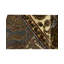 Wool Oriental Area Rug