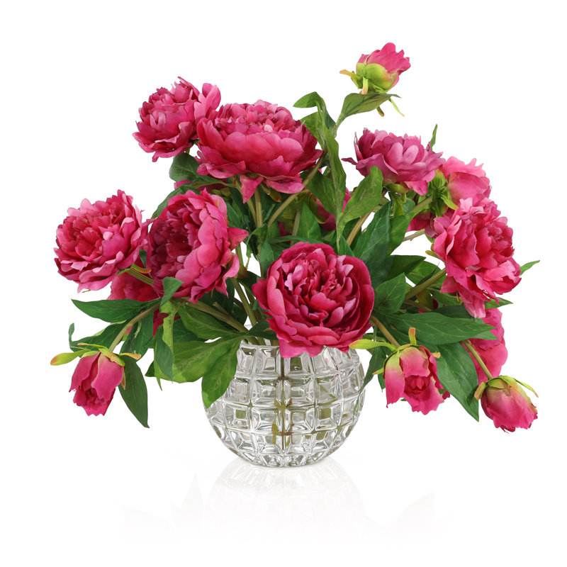 Pivoines de jardin
