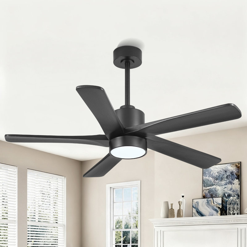 Ventilateur de plafond standard à DEL à 5 pales Athanafis avec télécommande et ensemble d'éclairage inclus, Noir, Noir, 48"