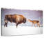 Bison et cerf A Advi en hiver