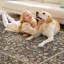 Tapis 10 po x 13 po Boho-759766313-759766318