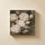 «Vintage Peony» par Lanie Loreth - Impression sur toile-1654327601