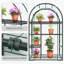 3.2'W x 1.4'D ×5.2'H Small Hobby Greenhouse