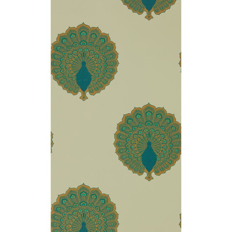 Kalapi Wallpaper, Peacock