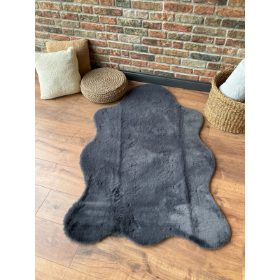 Tapis antibactérien lavable à la machine, couleur anthracite, 29,5 po x 39,4 po | 100% polyester, épaisseur: 1,2 po | Tapis durable, doux et élégant pour le salon, la chambre à coucher et la décoration intérieure