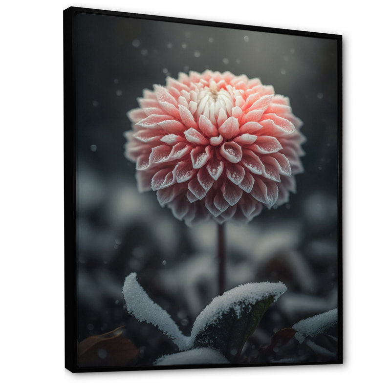 «A Blooming Pink Dahlia Flower in Winter III», impression sur toile, H 32 po x l 16 po x P 1 po