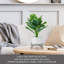 Scott Living Leaf avec support