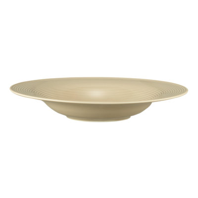 27.5cm Porcelain Dinner Plate