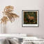 Animaux, reproduction d'art sans cadre William Morris Deer