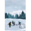 Littell No Frame Painting on Canvas-1760025129
