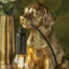 Isaacs Resin Novelty Lamp-959864755