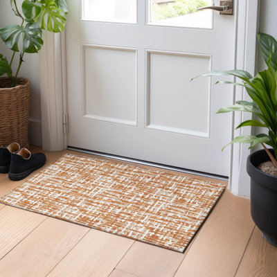 Machine Washable Indoor/Outdoor Chayden ACN1059 Rug