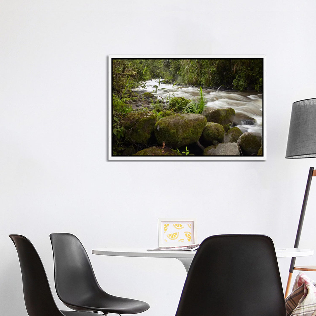 Mindo River Flowing Through Cloud Forest, Ecuador von Tim Fitzharris - Gallery-Wrapped Canvas Giclée on Canvas