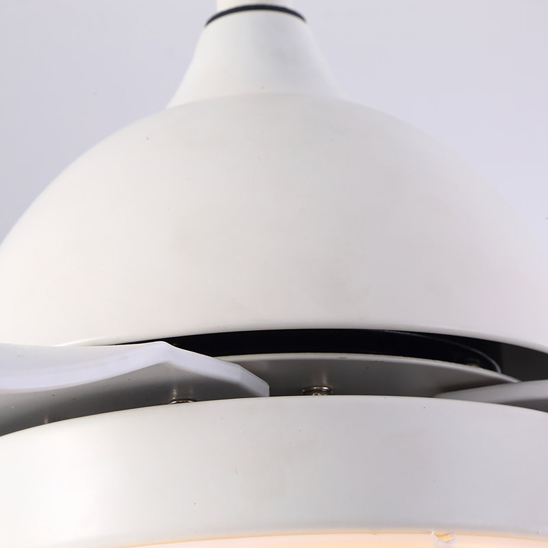 Ceiling Fan with LED Lights, White