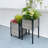 Elevated Planter-84494506