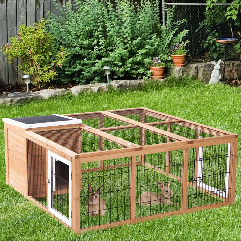 Maison de lapin, chambres principales ouvertes, matériau, pour le bonheur des animaux de compagnie à l'extérieur, chambre, toit d'eau, petites créatures