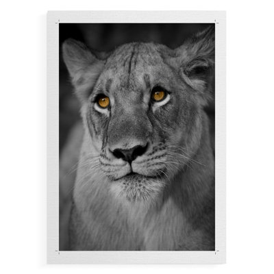 Portrait de lionne - impression sur toile seulement - non encadrée