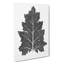 Illustration Of A Leaf by Owen Jones - Wrapped Canvas-55308007