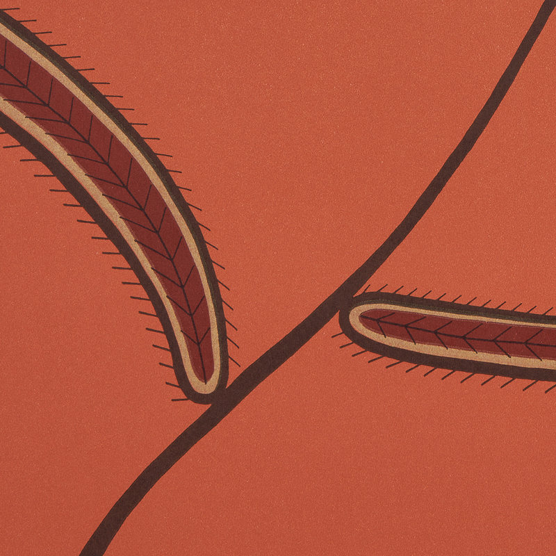 Schumacher x Neisha Crosland Caterpillar Leaf Wallpaper, Tomato