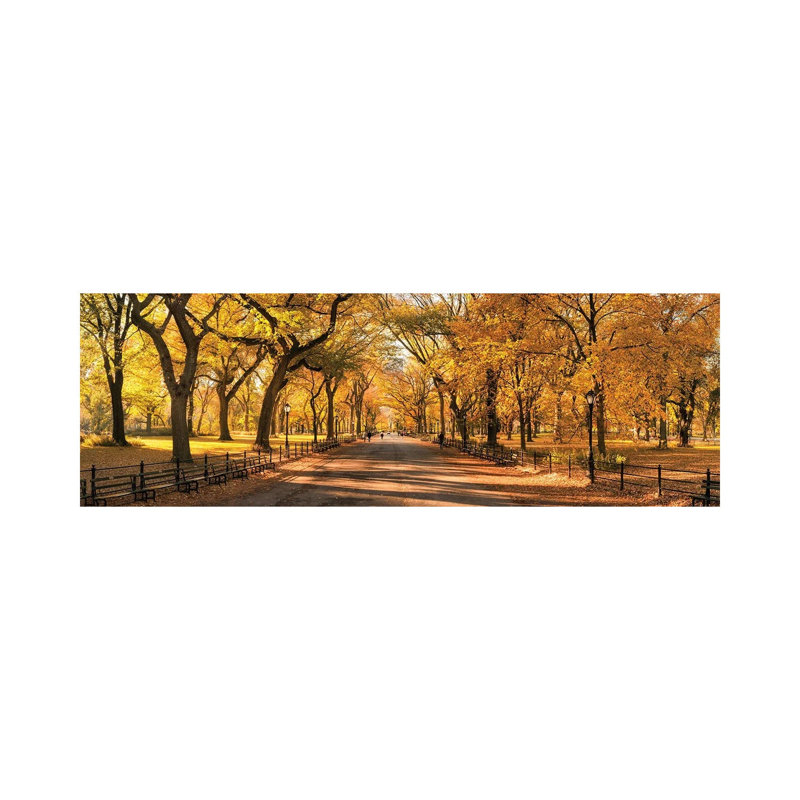 Central Park Panorama In Autumn, New York City, USA by Jan Becke - Wrapped Canvas Panoramic Print