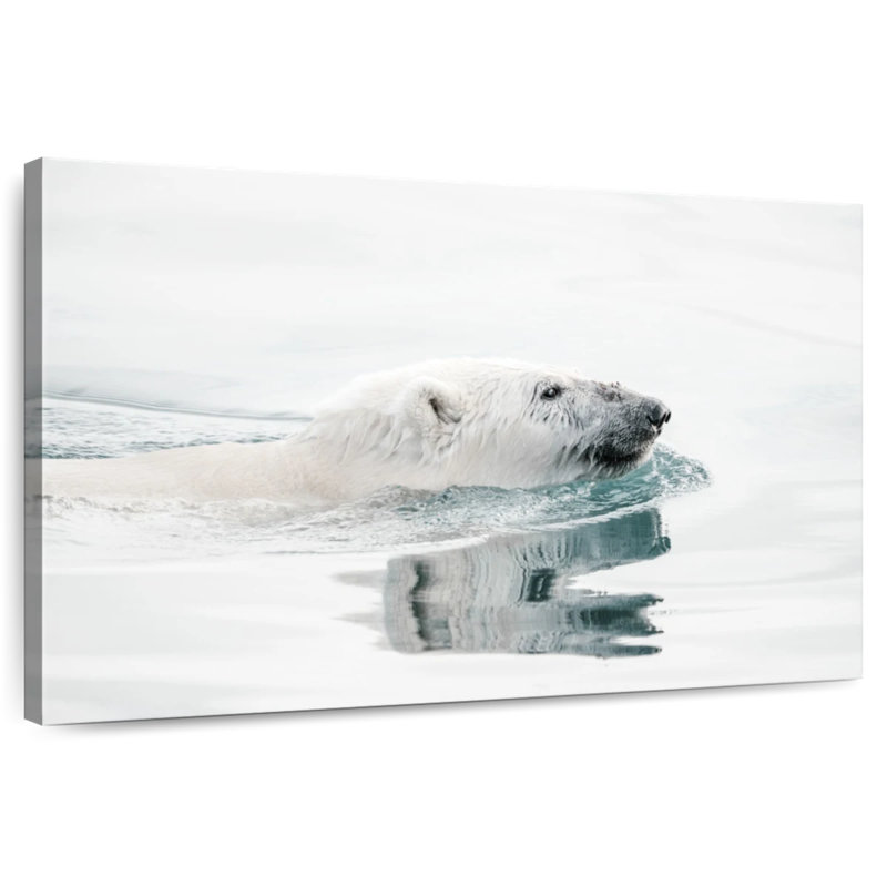 Brampt Bathing Polar Bear, 24" H x 36" W