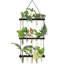 Terrarium mural à 3 niveaux avec support en bois-184369394