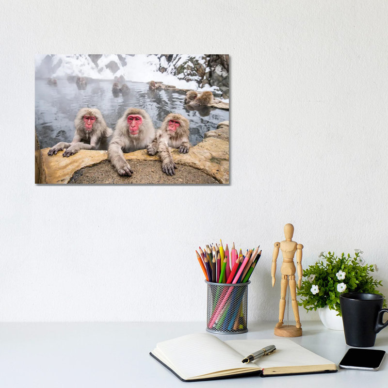 A Group of Japanese Macaques (Snow Monkeys) Taking a Bath in a Hot Spring 1 Piece Wrapped Canvas Wall Art