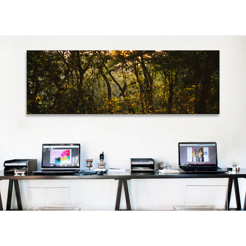 Coucher de soleil sur une forêt, monteverde cloud forest, costa rica-reproduction de photo sur toile tendue, Toile tendue