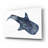 'Shark Whale 1' by Stellar Design Studio, Acrylic Glass Wall Art-1055356696