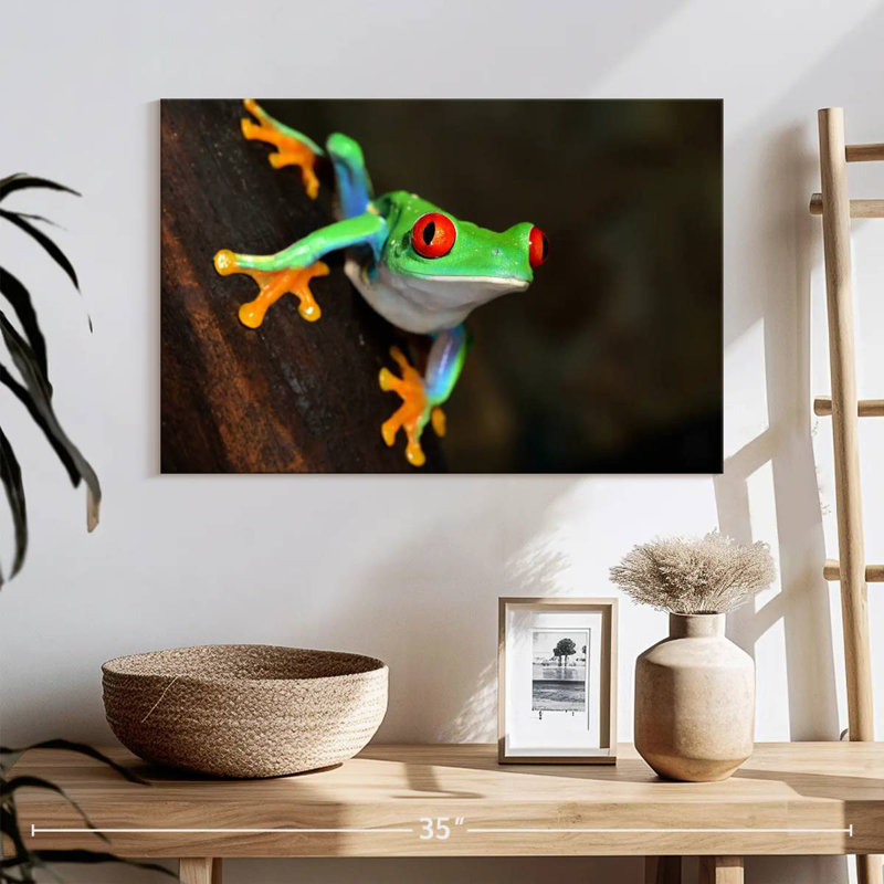 Brampt Tiny Red-Eyed Tree Frog, 16" H x 24" W