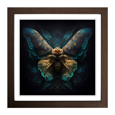 Moth Expressionism - Framed Print