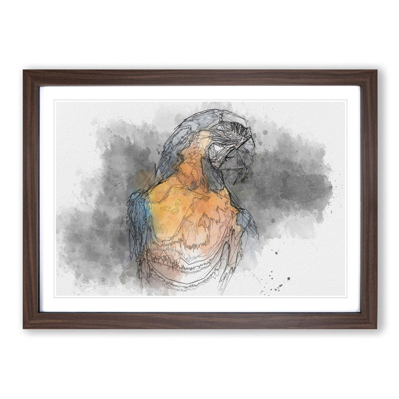 Blue and Yellow Macaw Parrot in Abstract - Picture Frame Drawing Print, Walnut Framed, 62cm H x 87cm W x 2cm D
