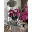 Olympian Phalaenopsis Orchids Centerpiece in Planter-849736862-849736863