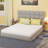 Orderville Plush Mattress-528283181
