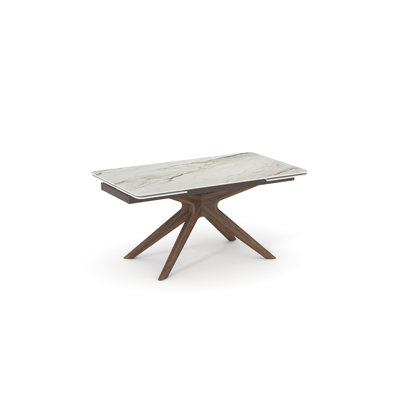 Shontavia Extension Dining Table