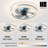 Dusen 19.7 in. Orange Ceiling Fan with LED Lights,modern ceiling fans-100170050