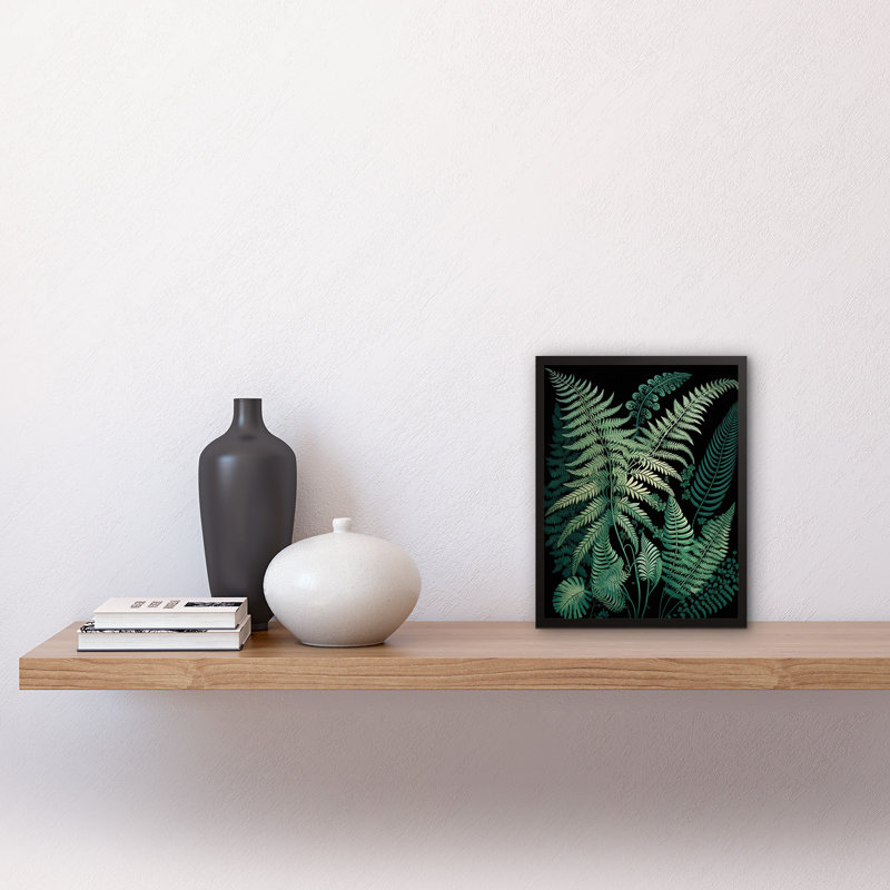 Ernst Haeckel Style Fern Fronds Botanical Detailed - Single Picture Frame Print