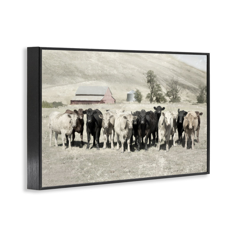 Variété de bovins à la ferme, estampe numérique encadrée par Rhonda Addison, Giclée encadrée noir minuit, H 12 po x l 18 po