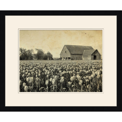Barn And Field IV Print